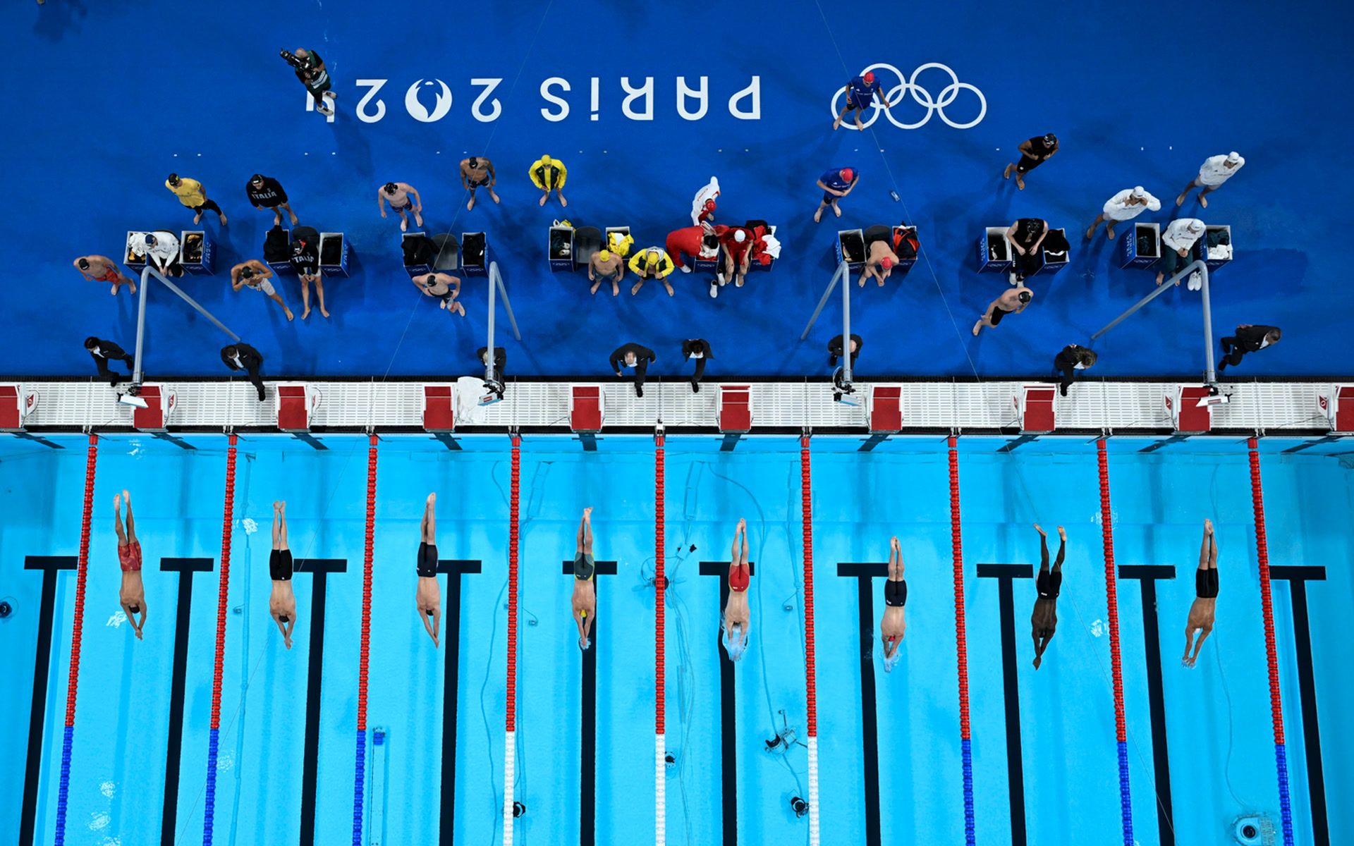 包含中国运动员登顶游泳领奖台，霸气十足的词条