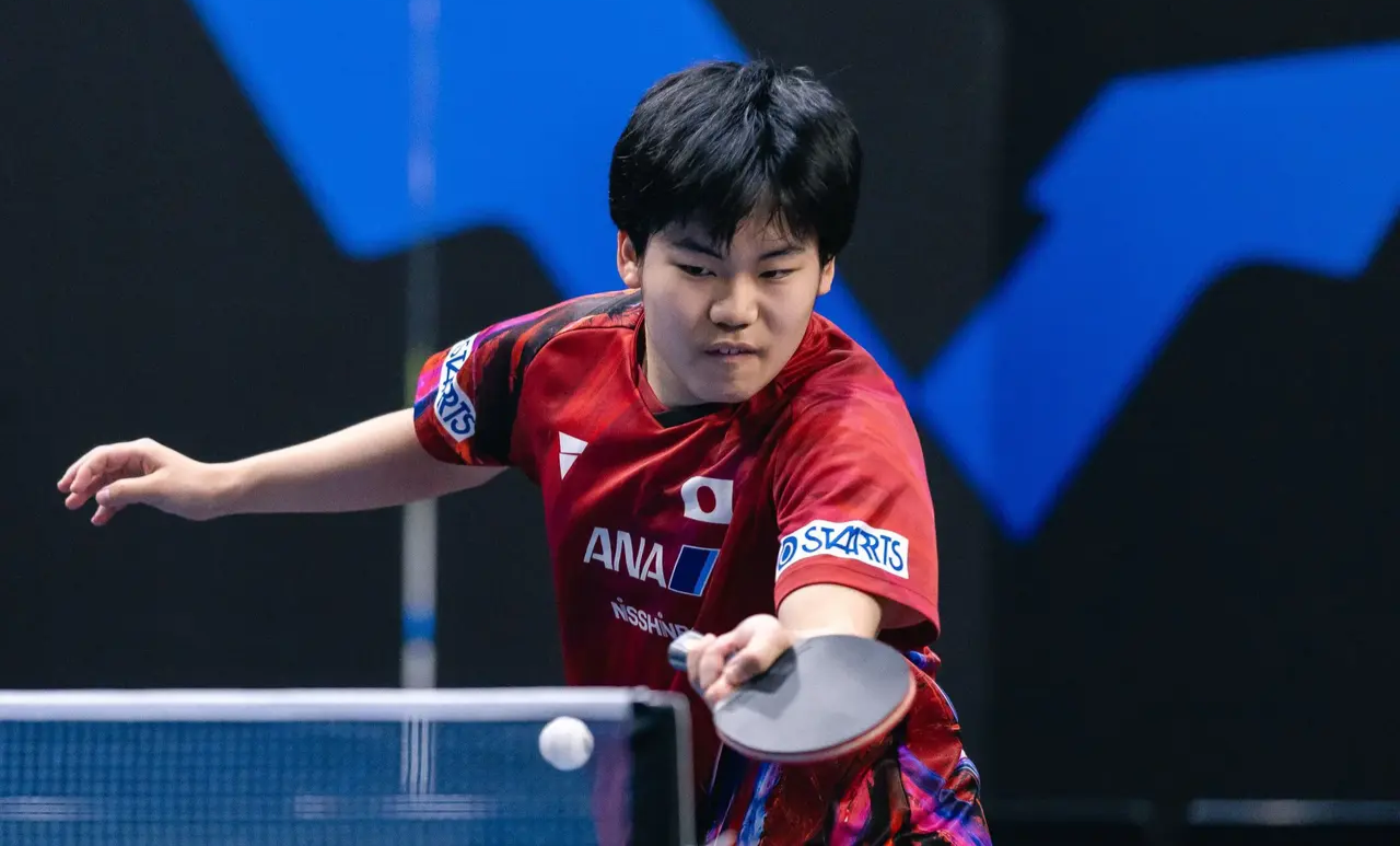 包含哈化柏林击败法兰克福，稳固中游位置的词条