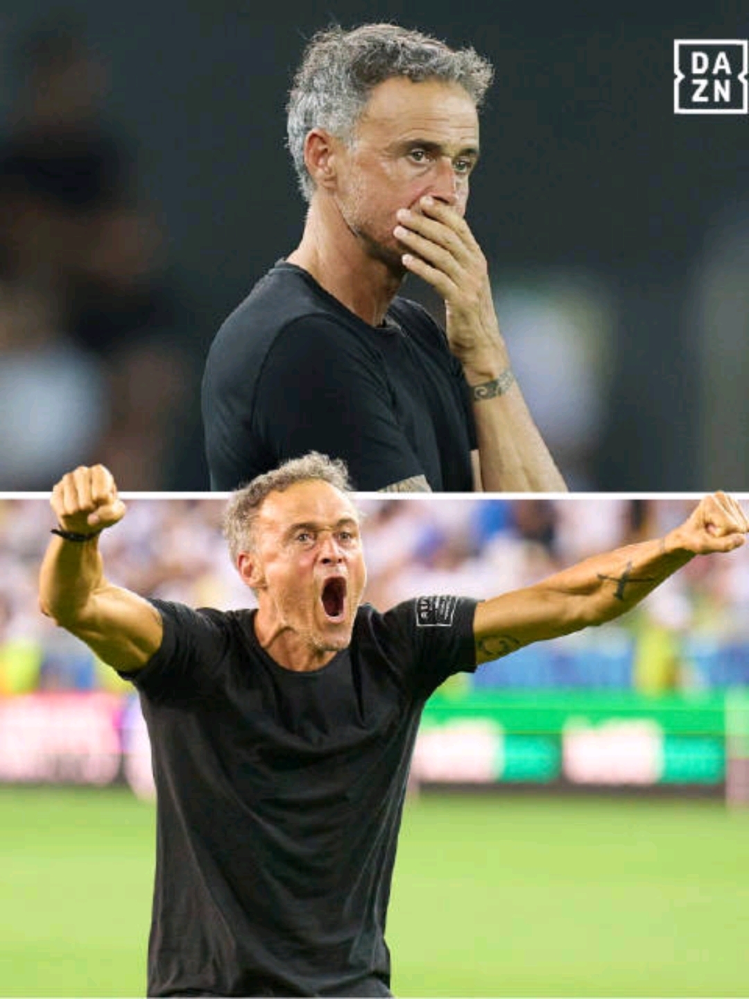 关于热刺被看好，或将创建惊喜赢得冠军的信息